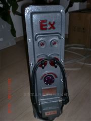 2KW2KW防爆电暖器、工业防爆加热器