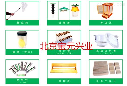 光源 便携式放大镜