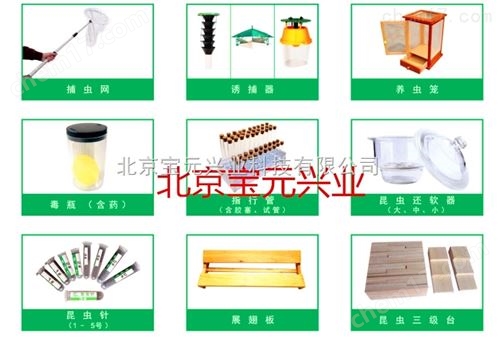 昆虫生活史标本盒