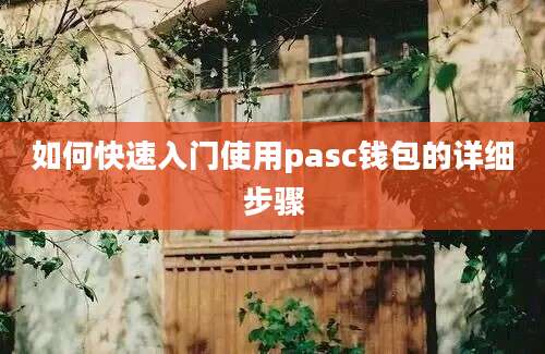 如何快速入门使用pasc钱包的详细步骤