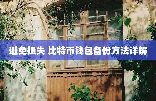 避免损失 比特币钱包备份方法详解