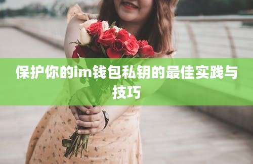 保护你的im钱包私钥的最佳实践与技巧