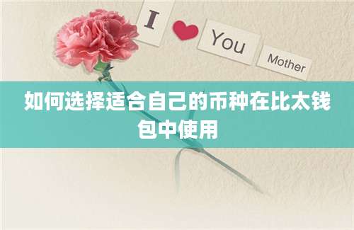 如何选择适合自己的币种在比太钱包中使用