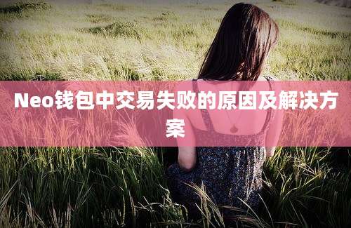Neo钱包中交易失败的原因及解决方案
