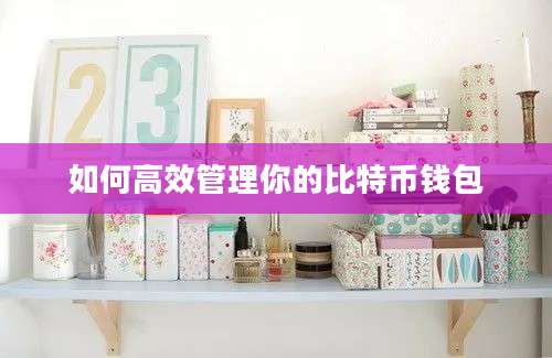 如何高效管理你的比特币钱包