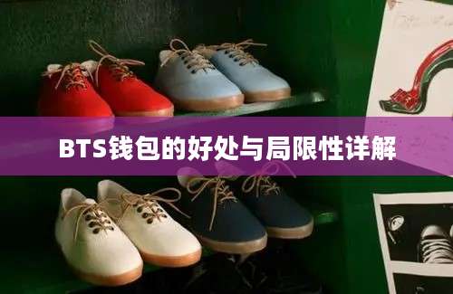 BTS钱包的好处与局限性详解