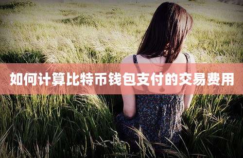 如何计算比特币钱包支付的交易费用