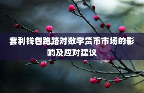 套利钱包跑路对数字货币市场的影响及应对建议