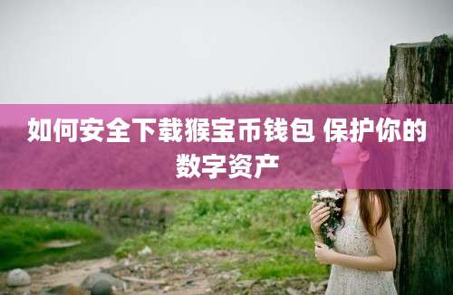 如何安全下载猴宝币钱包 保护你的数字资产
