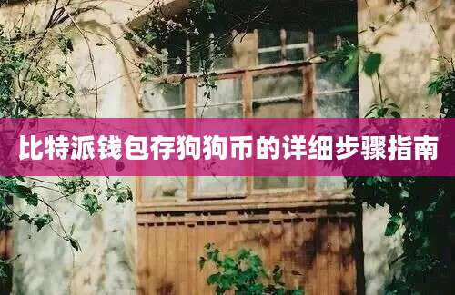 比特派钱包存狗狗币的详细步骤指南