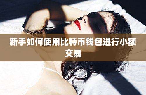 新手如何使用比特币钱包进行小额交易