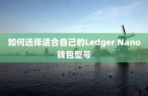 如何选择适合自己的Ledger Nano钱包型号