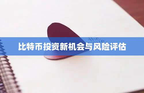 比特币投资新机会与风险评估