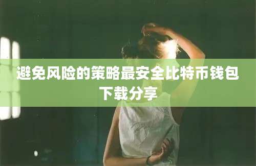 避免风险的策略最安全比特币钱包下载分享