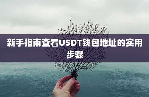新手指南查看USDT钱包地址的实用步骤