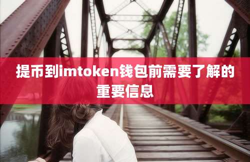 提币到imtoken钱包前需要了解的重要信息