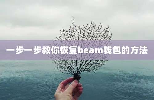 一步一步教你恢复beam钱包的方法
