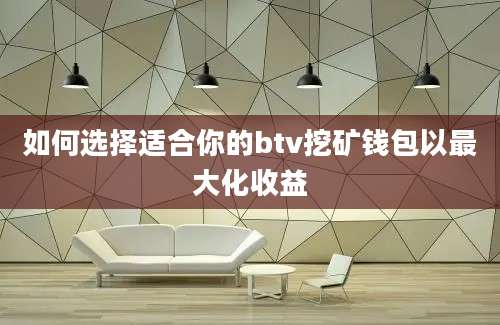 如何选择适合你的btv挖矿钱包以最大化收益