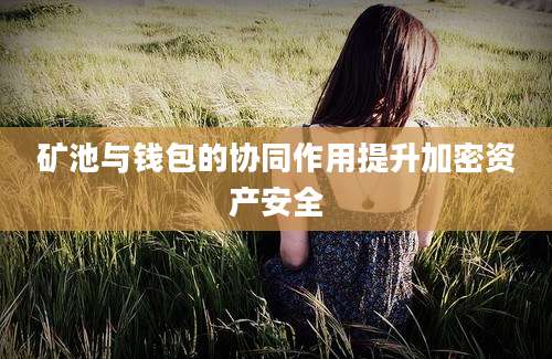 矿池与钱包的协同作用提升加密资产安全