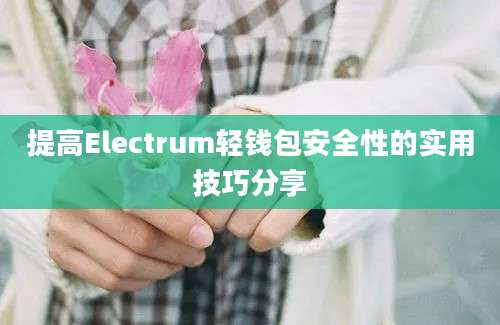 提高Electrum轻钱包安全性的实用技巧分享