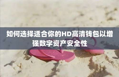 如何选择适合你的HD高清钱包以增强数字资产安全性