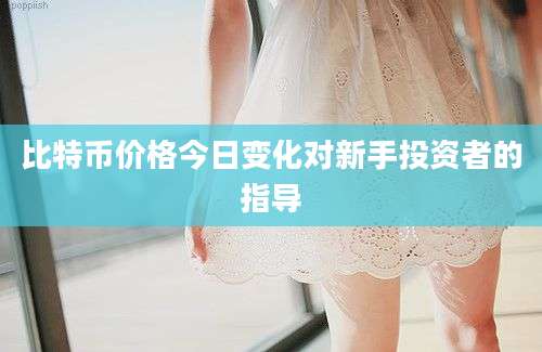 比特币价格今日变化对新手投资者的指导