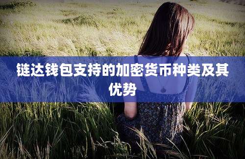 链达钱包支持的加密货币种类及其优势