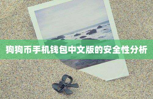 狗狗币手机钱包中文版的安全性分析