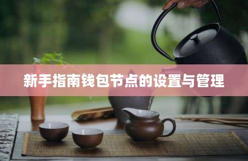 新手指南钱包节点的设置与管理