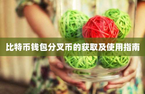 比特币钱包分叉币的获取及使用指南