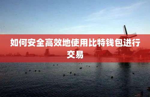 如何安全高效地使用比特钱包进行交易
