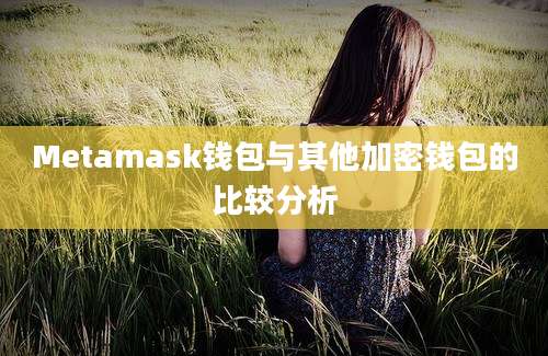 Metamask钱包与其他加密钱包的比较分析