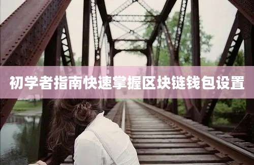 初学者指南快速掌握区块链钱包设置