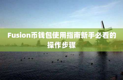 Fusion币钱包使用指南新手必看的操作步骤