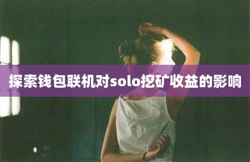 探索钱包联机对solo挖矿收益的影响