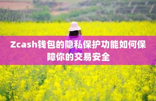 Zcash钱包的隐私保护功能如何保障你的交易安全