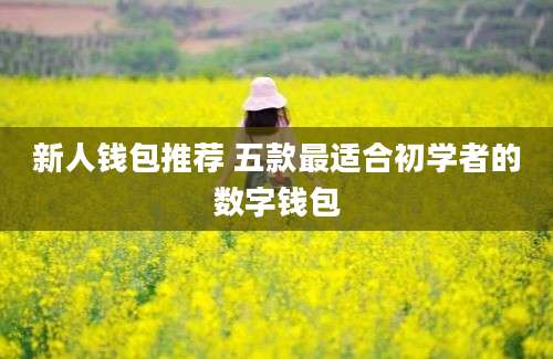 新人钱包推荐 五款最适合初学者的数字钱包