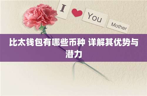 比太钱包有哪些币种 详解其优势与潜力