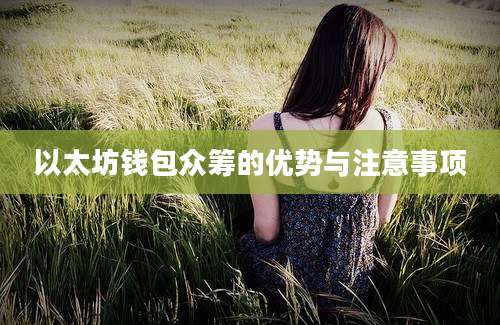 以太坊钱包众筹的优势与注意事项
