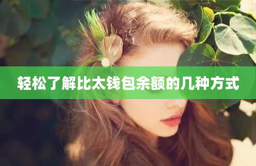 轻松了解比太钱包余额的几种方式