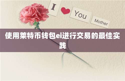 使用莱特币钱包ei进行交易的最佳实践