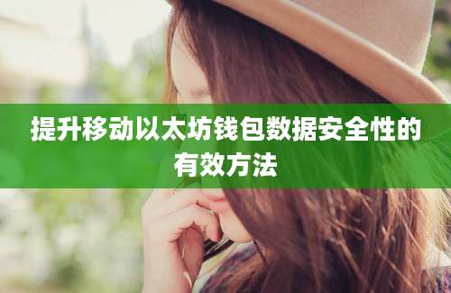 提升移动以太坊钱包数据安全性的有效方法