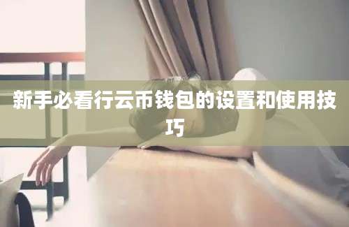 新手必看行云币钱包的设置和使用技巧