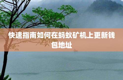 快速指南如何在蚂蚁矿机上更新钱包地址