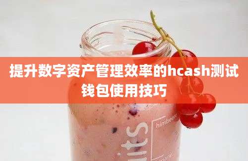 提升数字资产管理效率的hcash测试钱包使用技巧