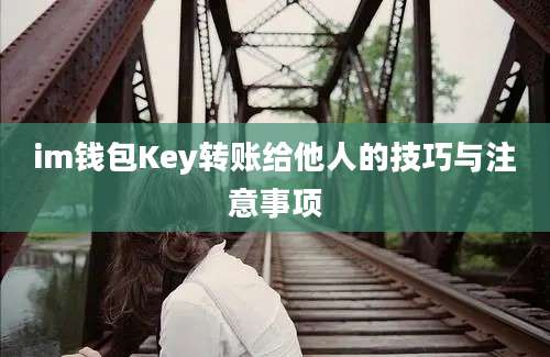 im钱包Key转账给他人的技巧与注意事项