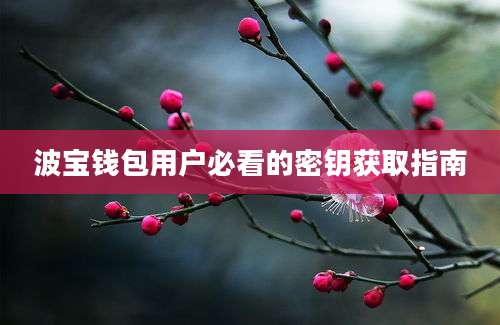 波宝钱包用户必看的密钥获取指南
