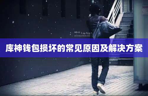 库神钱包损坏的常见原因及解决方案