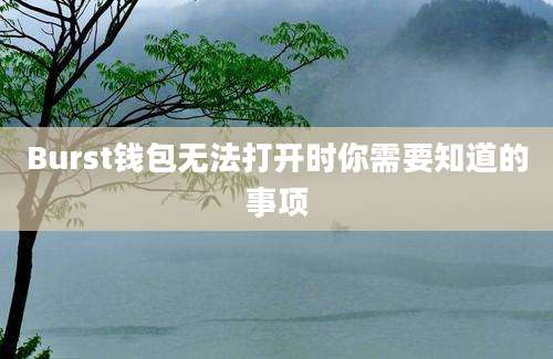 Burst钱包无法打开时你需要知道的事项