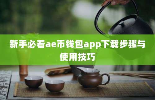 新手必看ae币钱包app下载步骤与使用技巧